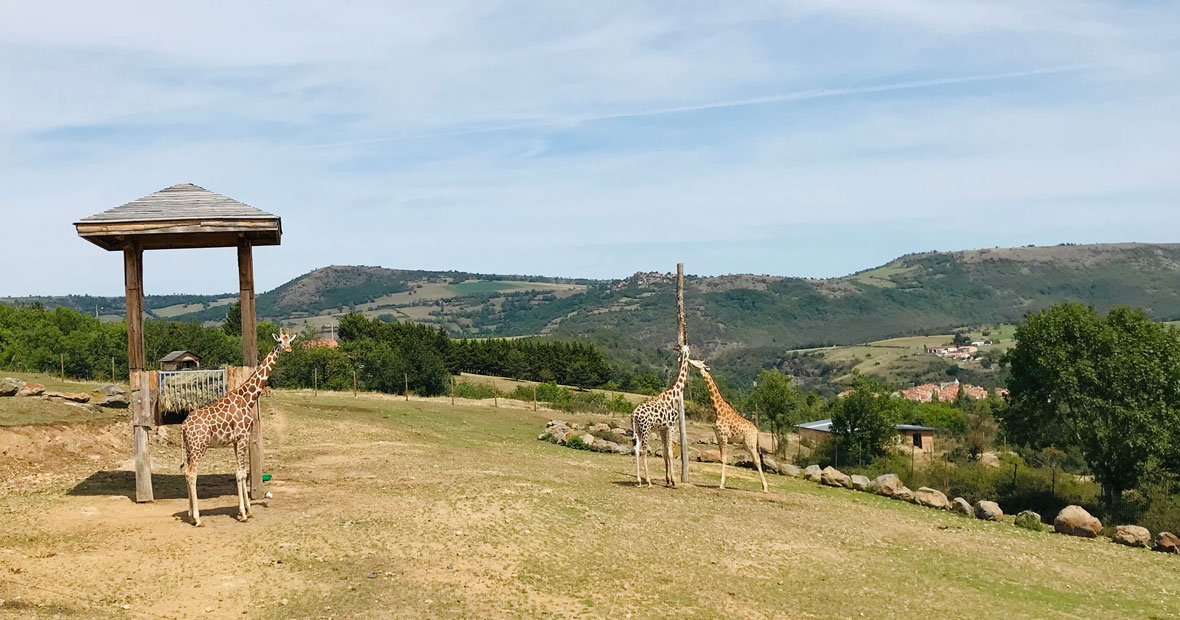 parc animalier auvergne